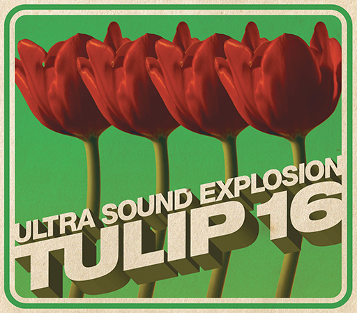 Tulip16